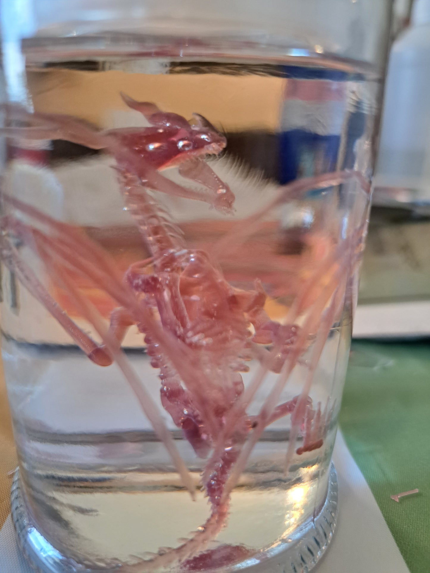 Faux diaphonized dragons